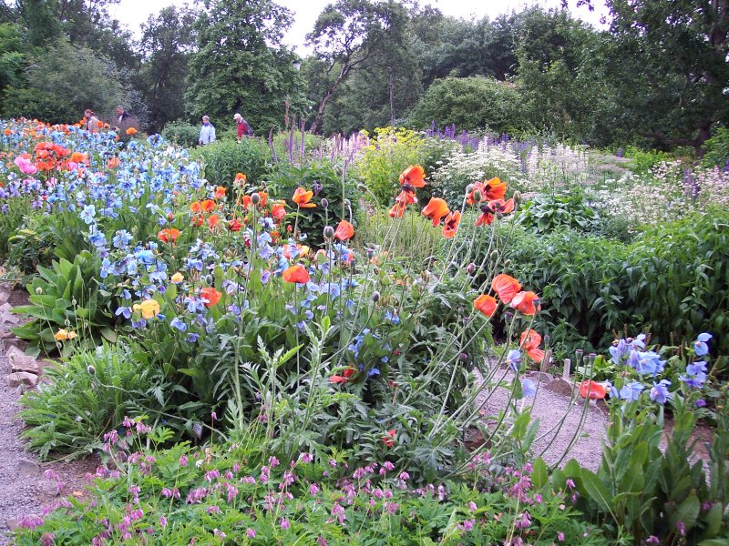 botanischer Garten