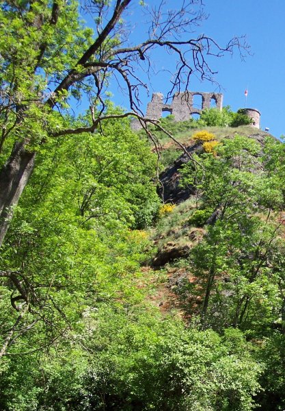 Burgruine Falkenstein